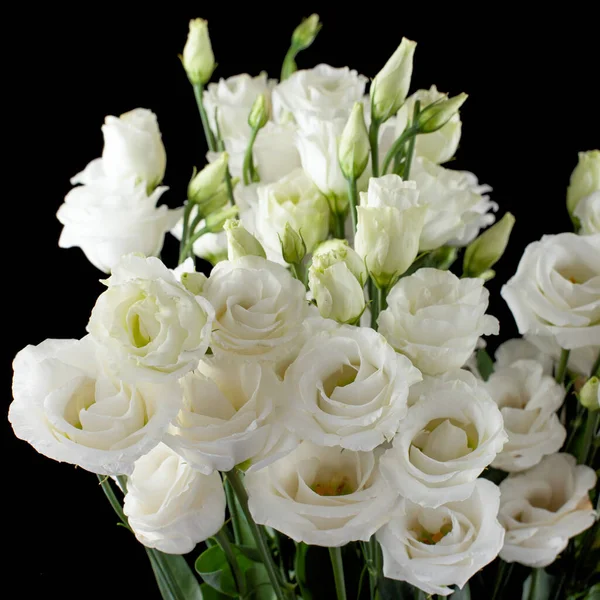 Bouquet of white eustomas on a black background — Stock Photo, Image