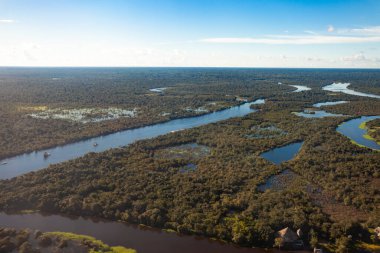 Amazon Nehri manzarası, yağmur ormanları ve bataklıklar, seyahat kavramı..