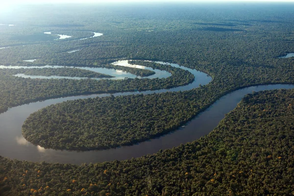 Yağmur ormanları ve Amazon Nehri 'nin havadan görünüşü