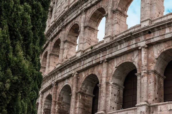 Detalhe do colosseum — Fotografia de Stock