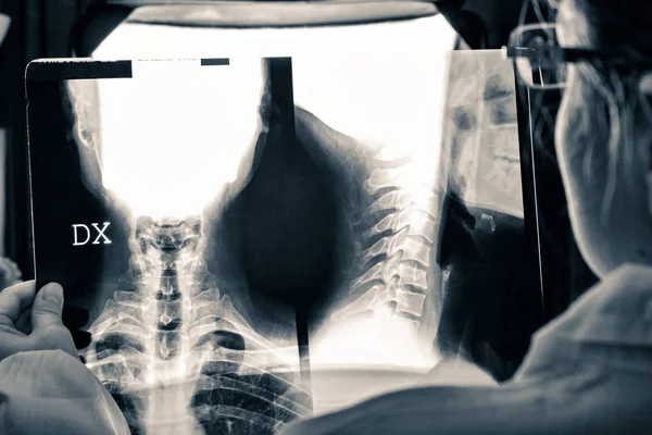 Médecin observe la radiographie — Photo