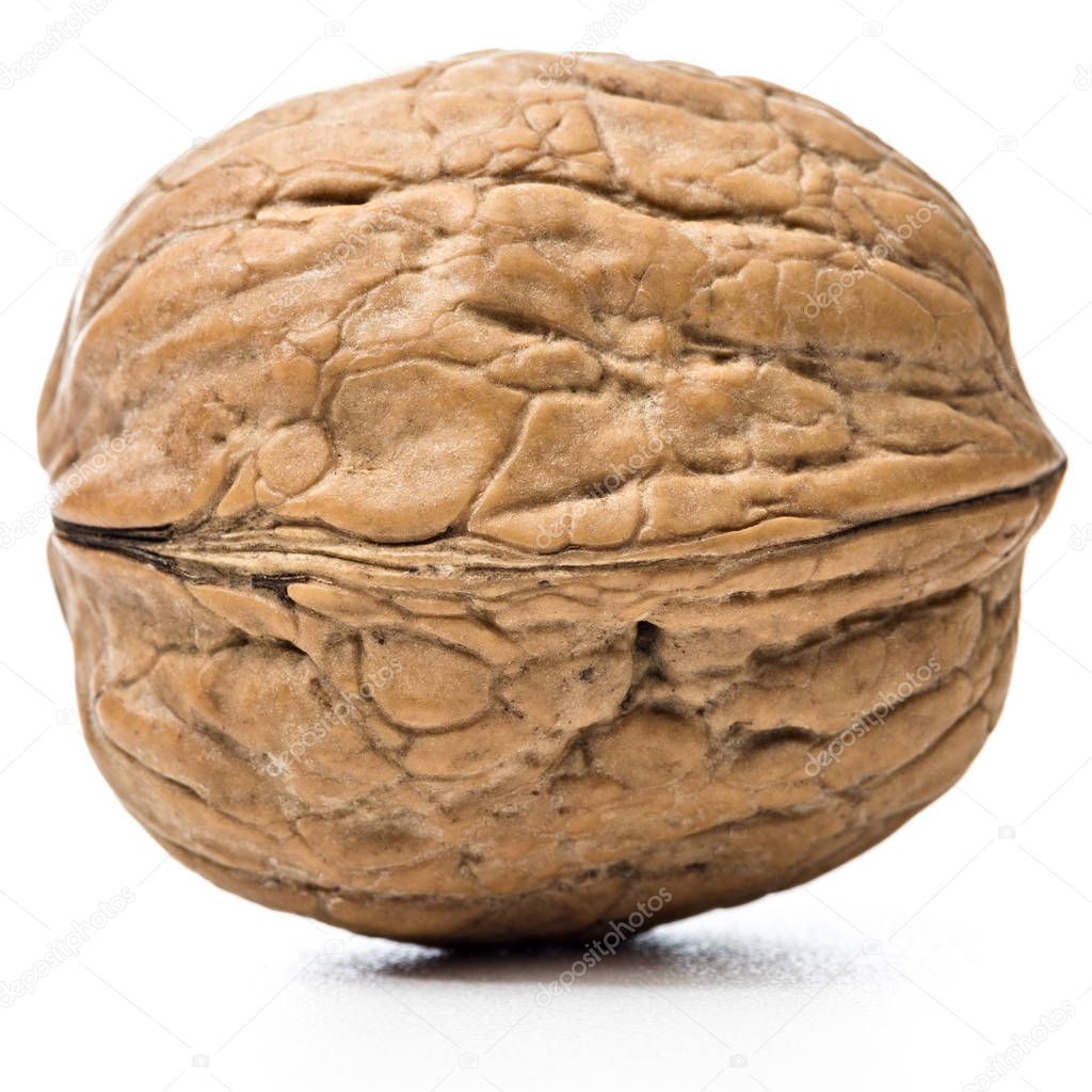 walnut ob white background 