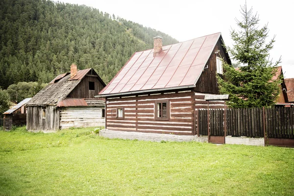 Östeuropeisk Traditionell Arkitektur Byn — Stockfoto