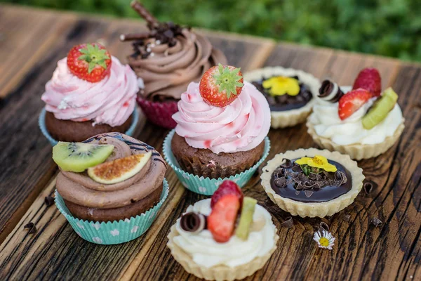 Selección Coloridos Cupcakes — Foto de Stock