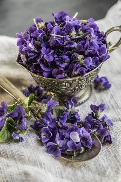 Close Purple Viola Violeta Blossom Flower Heads Ceramic Black Dish — Stock Photo, Image