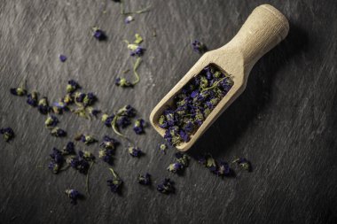 Yenebilir viyola keman kokusu kuru mor çiçek tomurcukları siyah taştan bir arka plan manzarasında tahta bir kaşıkta çay içmek için kafalarını kurutur. 