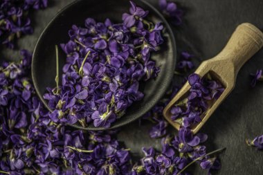 Mor viyola çiçeğine yakın bir yerde mor menekşe çiçekleri seramik bir menekşe ağacından çiçek açar. Viola odorata yakın çekim stüdyosu alternatif bitki çayı ilacı olarak kullanılan cam bir kavanoza yenilebilir bahar çiçekleri koydu.