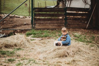 Eski usul eski moda çiftlik kızı ve tavuk yavrusu.