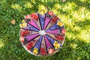 Meyveli, çiğ, renkli bir vejetaryen pastanın yanına.