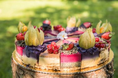 Meyveli, çiğ, renkli bir vejetaryen pastanın yanına.