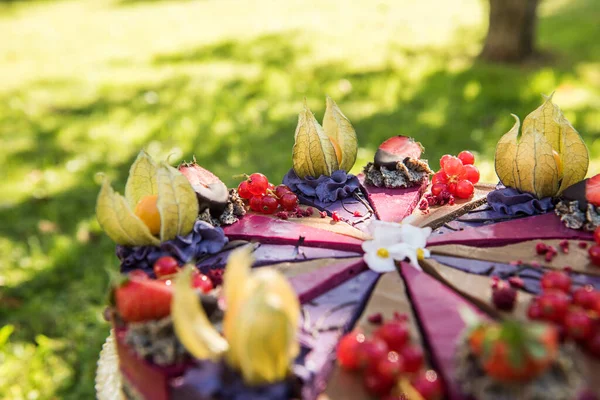 Close Van Een Veganistische Rauwe Kleurrijke Taart Met Fruit — Stockfoto