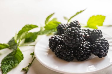 Taze organik yaz olgunlaşmış böğürtlenlerin kapanışı metin için çerçeve odasını doldurur