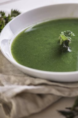 Beyaz bir porselen tabakta taze yeşil ısırgan otu çorbası.
