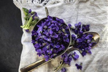  close up of fresh blossom flowers viola violetta odorata tea with viola sirup viola lilac sugar crystals clipart
