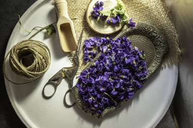  Taze çiçekleri kapatın viyola viyola kokulu viyola viyola viyola viyola leylak şeker kristalleriyle