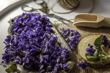  Taze çiçekleri kapatın viyola viyola kokulu viyola viyola viyola viyola leylak şeker kristalleriyle