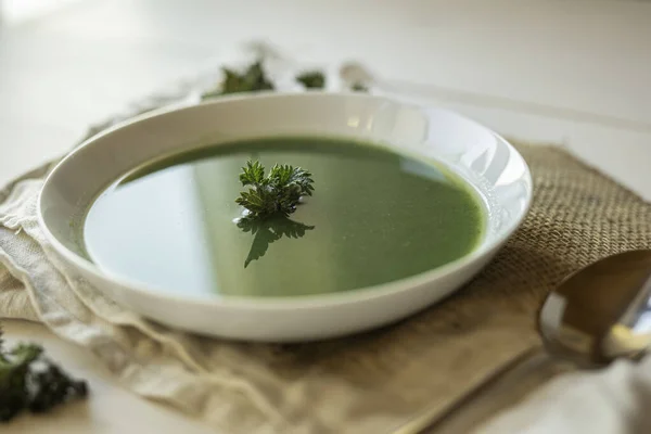 Stinging Nettles Urtica Dioica Growing Field Used Cooking Tea Soup — Stock Photo, Image