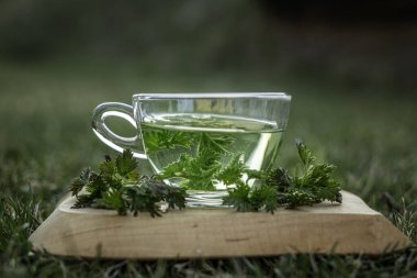 Temiz cam bardakta taze ısırgan otu çayı