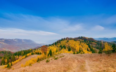 Dağlarda sarı güzel ağaçlar