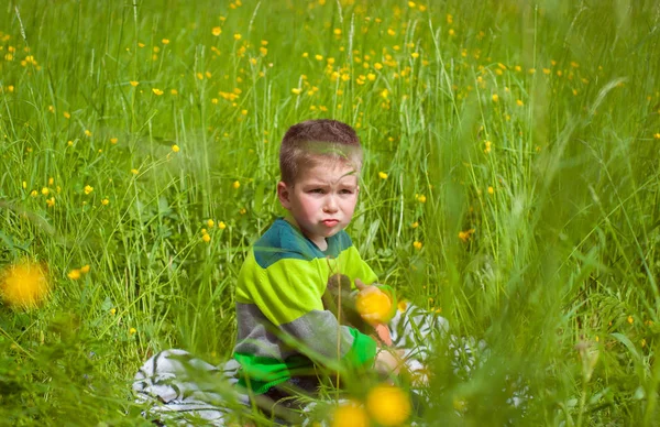 緑の草に小さな男の子 — ストック写真