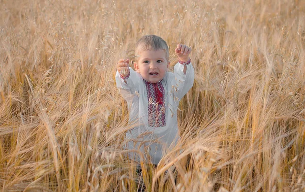 小麦で伝統的なウクライナの服を着て少年 — ストック写真