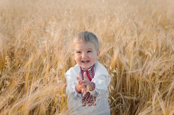 Genç çocuk buğday geleneksel Ukrayna Giyim Eşyası