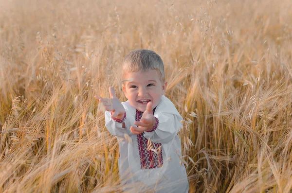 Genç çocuk buğday geleneksel Ukrayna Giyim Eşyası — Stok fotoğraf