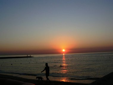        Gün doğumunda bir köpekle sahilde yürü.