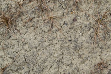 Desen kırık Dünya'nın.