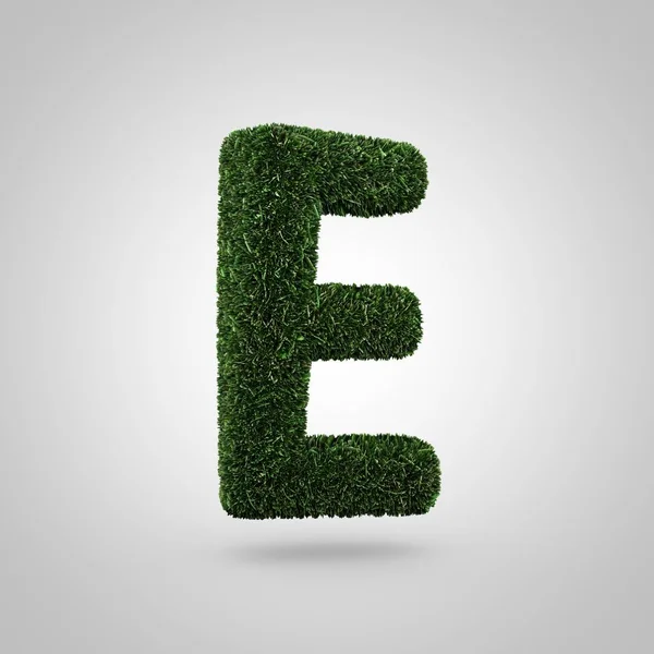 Grass letter E uppercase — Stock Photo, Image