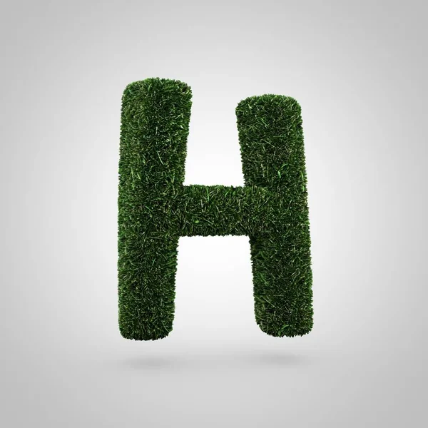 Grass letter H uppercase — Stock Photo, Image