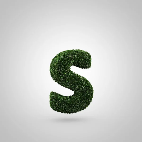 Gräs bokstaven S gemener — Stockfoto