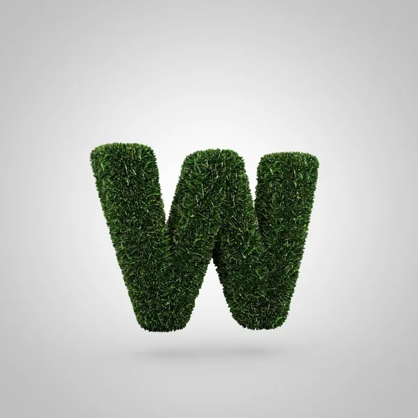 Grass letter W lowercase — Stock Photo, Image