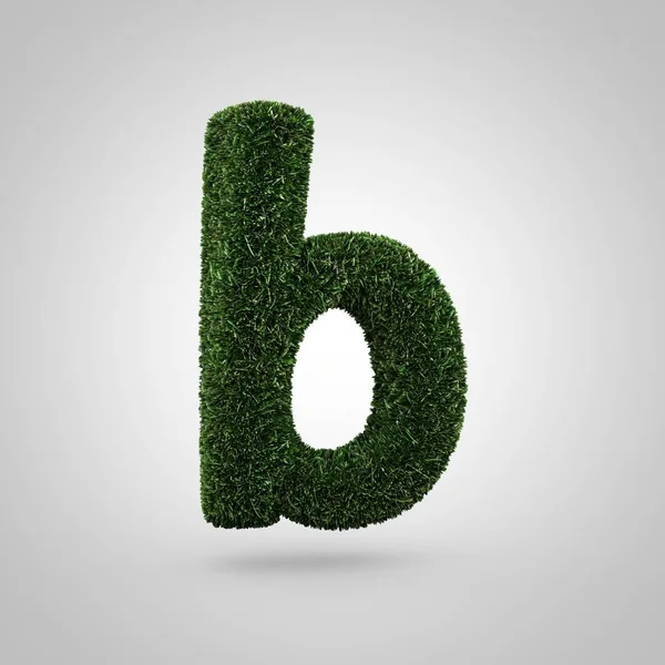 Grass letter B lowercase — Stock Photo, Image