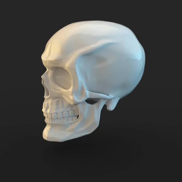 Rendre Blanc Brillant Crâne Avec Des Reflets Lumineux Isolés Sur — Photo