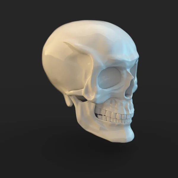 Rendre Blanc Brillant Crâne Avec Des Reflets Lumineux Isolés Sur — Photo gratuite