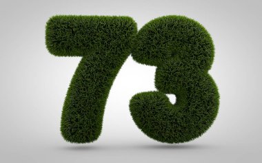 73 numaralı yeşil çimen beyaz arka planda izole edilmiş. Çevre afişi, poster, kapak, logo tasarım şablonu elementi için 3D biçilmiş çimen rakamları.