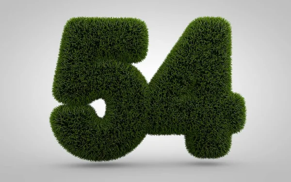 Groen Gras Nummer Geïsoleerd Witte Achtergrond Weergegeven Gras Cijfers Voor — Stockfoto