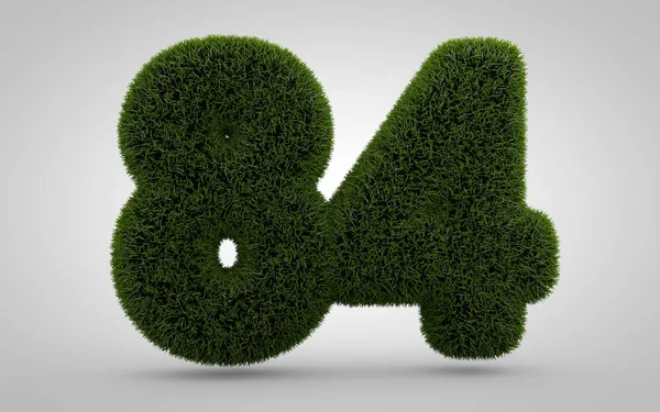 Grönt Gräs Nummer Isolerad Vit Bakgrund Renderade Gräs Siffror För — Stockfoto