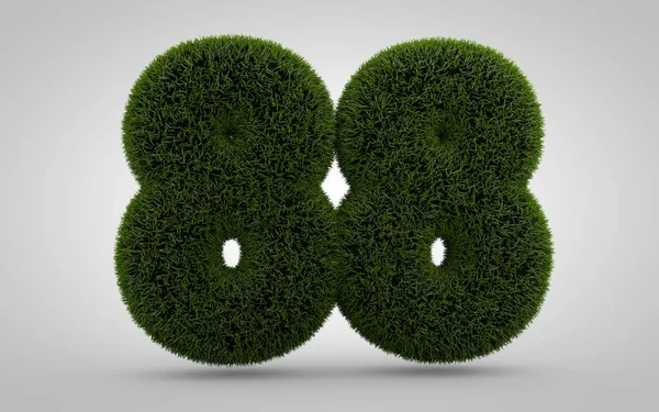 Grünes Gras Nummer Isoliert Auf Weißem Hintergrund Gerendertes Gras Ziffern — Stockfoto