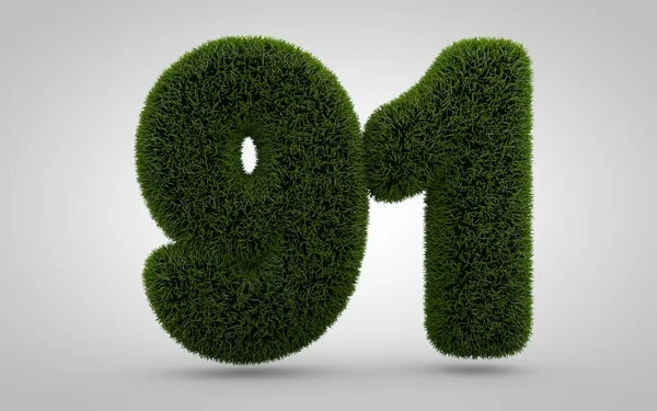 Grünes Gras Nummer Isoliert Auf Weißem Hintergrund Gerendertes Gras Ziffern — Stockfoto