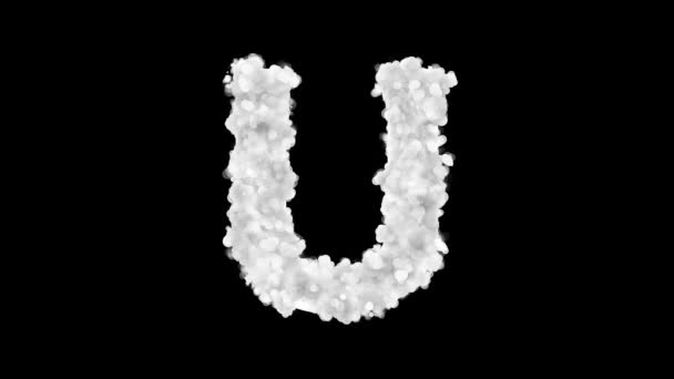 Snowy White Glowing Letter Black Background — ストック動画