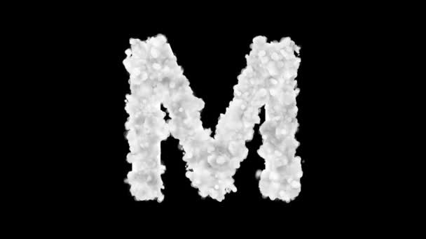 Snowy White Glowing Letter Black Background — ストック動画