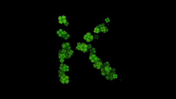Clover písmeno K velké odhalit na černém pozadí — Stock video