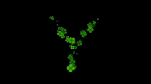 Clover lettre Y majuscule révéler sur fond noir — Video