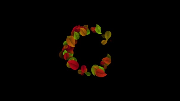 Letra C minúscula hecha con hojas de color — Vídeo de stock