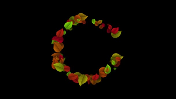 Lettera C maiuscolo realizzato con foglie colorate — Video Stock