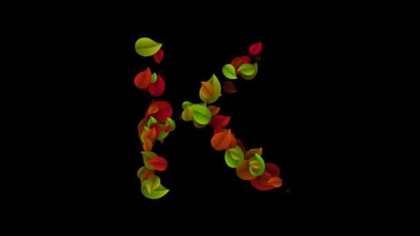 Letter K uppercase made with colored leafs — Stock Video
