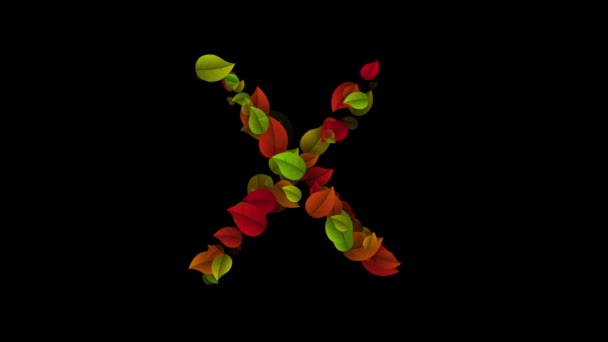 Renkli yapraklardan yapılmış X harfi büyük harf — Stok video