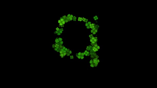 Clover bokstav Q låg fall avslöja på svart bakgrund — Stockvideo